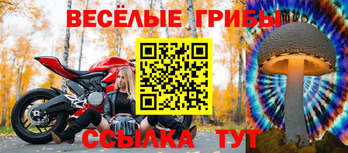 Галлюциногенные грибы мухоморы  Заринск 