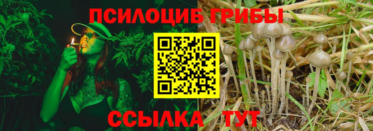Галлюциногенные грибы ЛСД  Вход с VPN  Заринск 